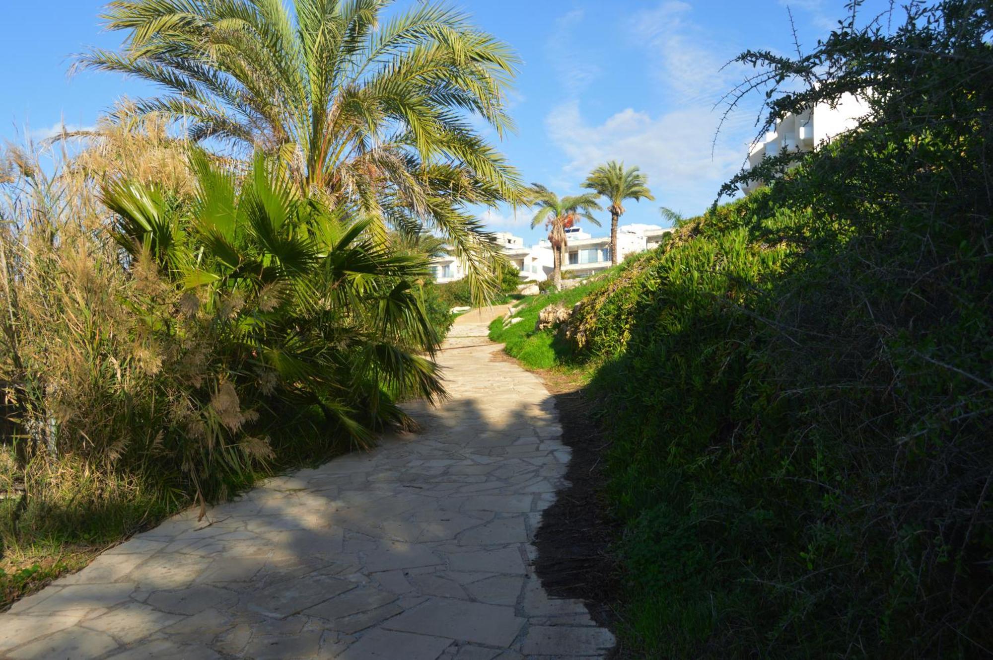 Olymp Luxury Villa D - Luxury Escape With Direct Beach Access And Unique Sunsets Paphos Exterior photo